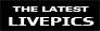 latest Pics